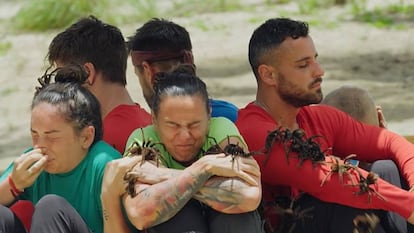 El Conquistador, concurso de supervivencia emitido en La 1