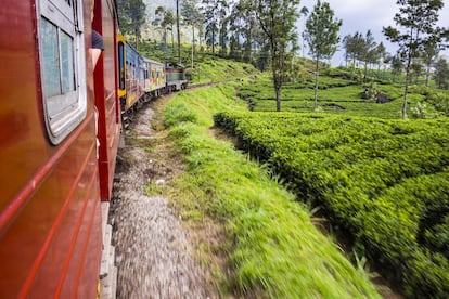 Un tren atraviesa la regi&oacute;n de Nuwara Eliya en Sri Lanka, donde, desde finales del siglo XIX, las frescas zonas monta&ntilde;osas est&aacute;n cubiertas de plantaciones de t&eacute; en las que se ven algunas recolectoras vestidas con sus coloridos saris. 