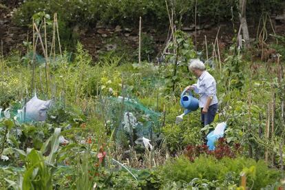 Una vecina de Santiago regando su huerta urbana