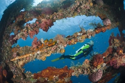 En Bali sobran sitios donde ponerse gafas y aletas y sumergirse en otro bello universo. En Tulamben por ejemplo, se puede permanecer suspendido sobre los abundantes organismos marinos en torno al bello arrecife de Pulau Menjangan, o nadar desde la orilla hasta la gran atracción de la zona, hundido hace más de 60 años: los restos del carguero estadounidense Liberty (en la foto), el lugar más popular de Bali para la inmersión. Otros dos lugares magníficos para bucear son los manglares de Nusa Lembongan, en Lombok, que atraen a un sinfín de peces multicolor, y las serenas aguas de las playas de Sanur.