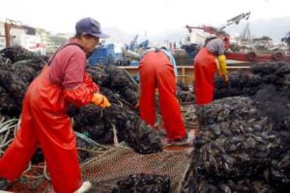 Imagen de muelles de descarga de mejillones en Moaña. EFE/Archivo