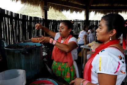 Las Mujeres de Humo, herederas de conocimientos gastronómicos milenarios, preservan sus recetas más emblemáticas, con la finalidad de que la cocina tradicional veracruzana, sea reconocida en todas sus dimensiones.