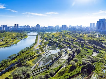 Uno de los proyectos del profesor Yu y su estudio, el parque Fengxiang sobre el río Meishe en Haikou (China).