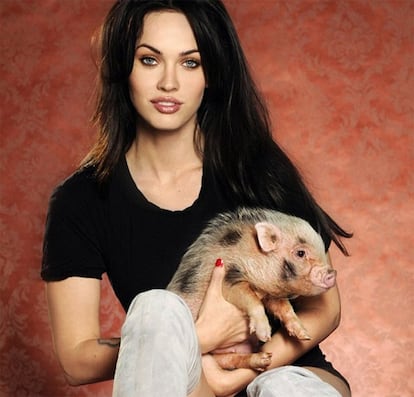 Megan Fox es otra de las celebrities que no se ha resistido a posar y hablar de su cerdo. "Antes comíamos cerdo cerdo, pero ahora ya no lo puedo hacer; es muy triste pensar que solamente sirvan para hot dog y el bacon del desayuno".