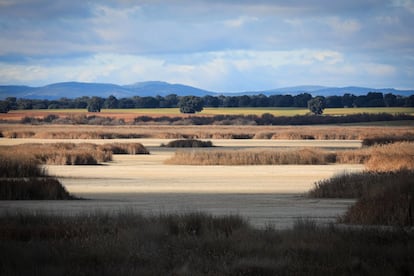 Panorámica desde uno de los observatorios de aves que se encuentran diseminados por Las Tablas de Daimiel. Esta es una de las lagunas que se encuentran secas, debido a que en estos momentos solo está inundado el 26% (450 hectáreas de las 1.750 posibles)