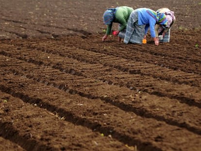 Agricultoras en Chimaltenan​go, Guatemala.