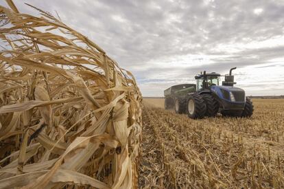 agricultura transgenica