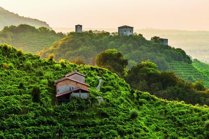 San Martino, en las colinas del Prosecco de Conegliano y Valdobbiadene (Italia).