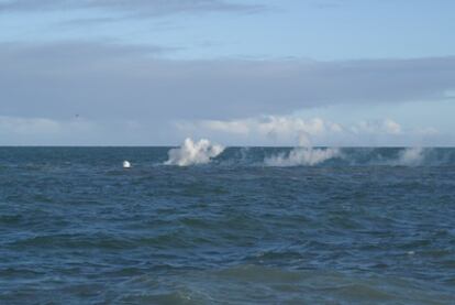 Los piroclastos flotan sobre el agua.