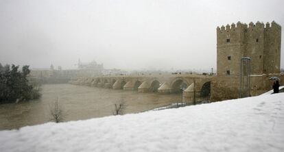 Las orillas del río Guadalquivir, a su paso por la ciudad andaluza, nevadas.