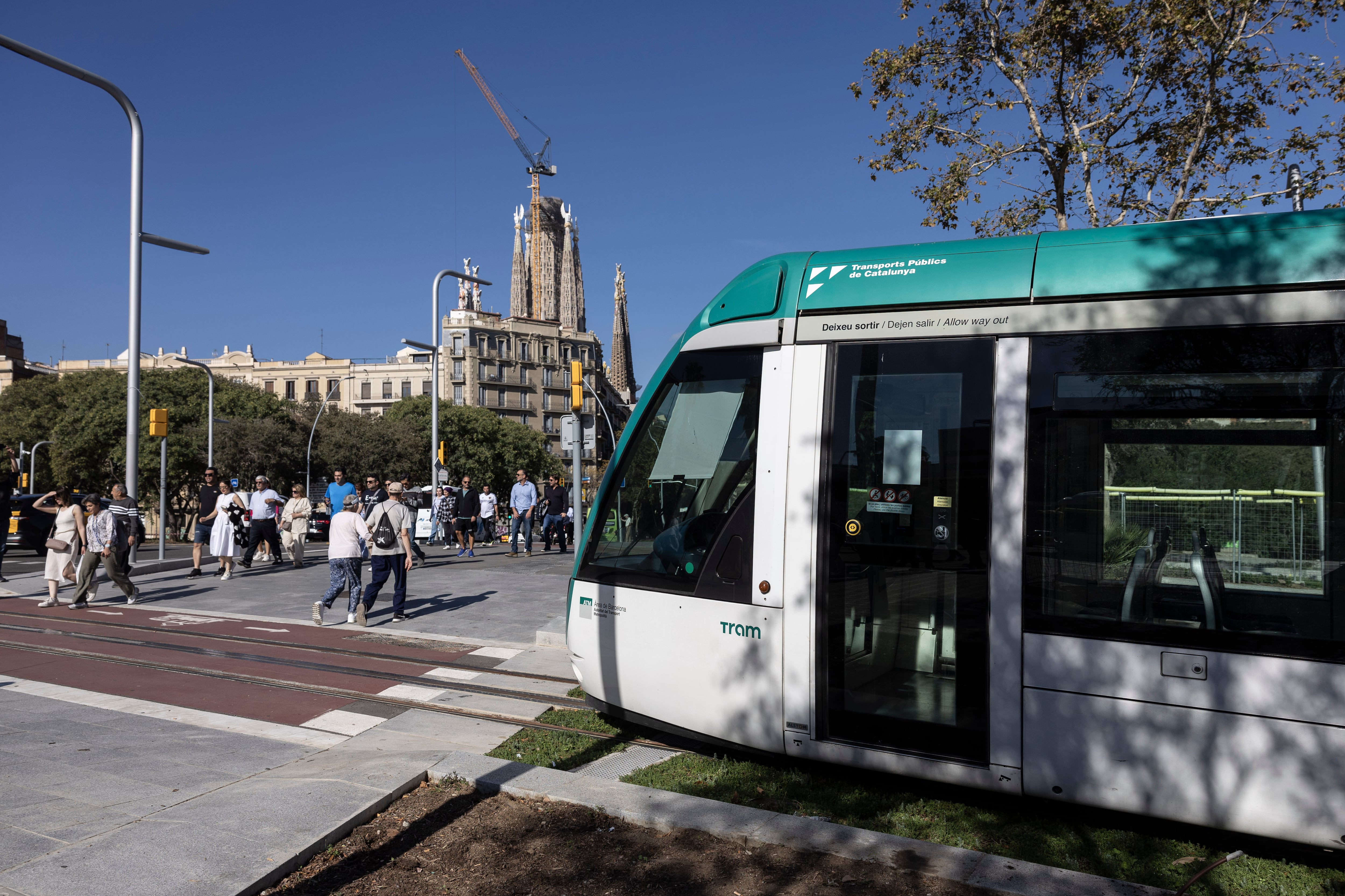 Collboni quiere alargar el tranvía de Barcelona hasta Francesc Macià en dos fases: la primera, hasta paseo de Gràcia