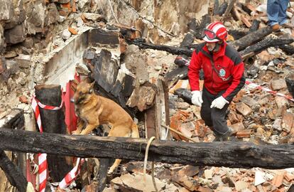 Dotaciones de bomberos y de la Unidad de Rescate con perros de la Ertzaintza han rastreado los escombros del incendio del casco viejo de Bermeo (Bizkaia) para descartar que se hayan registrado víctimas, según ha informado la Policía Vasca.