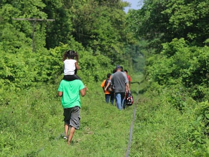 El grupo de migrantes caminando por las vías del tren en Chiapas (México).