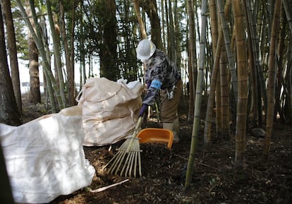 Les emissions i els abocaments radioactius mantenen desplaçades més de 68.000 persones que vivien al costat de la planta. A la imatge, un treballador recull terra, fulles i altres materials contaminats per la radiació en un bosc de bambú del municipi de Tomioka.