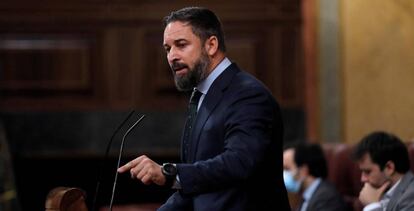 El líder de Vox, Santiago Abascal, durante su intervención en el pleno del Congreso de este miércoles.