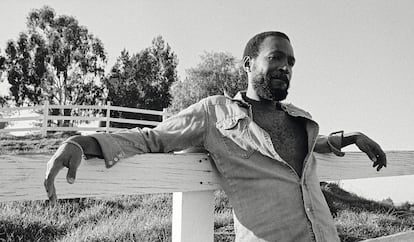 Marvin Gaye fotografiado por Bruce W. Talamon.