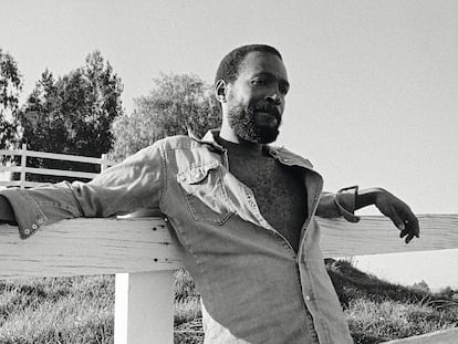 Marvin Gaye fotografiado por Bruce W. Talamon.