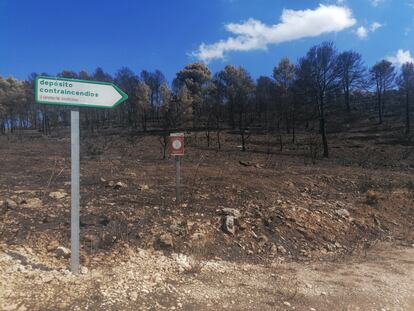 Imagen de la zona del incendio de Vall d'Ebo tras quedar controlado.