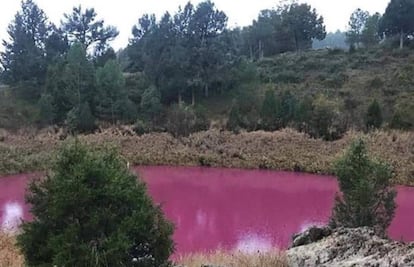 Una de las lagunas de Cañada del Hoyo, de color rosa fucsia.