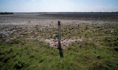 Imagen tomada el jueves de una escala limnimétrica colocada en 2013 en la laguna de Santa Olalla, cuando la cubría el agua.