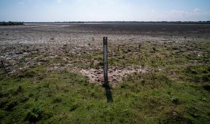 Imagen tomada el jueves de una escala limnimétrica colocada en 2013 en la laguna de Santa Olalla, cuando la cubría el agua.