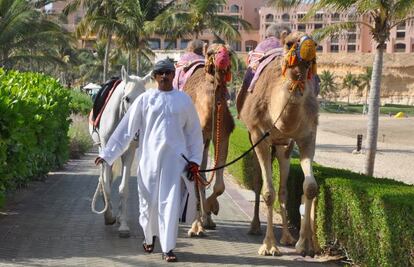 Los hoteles tienen playa privada, donde es posible pasear a caballo o en camello.