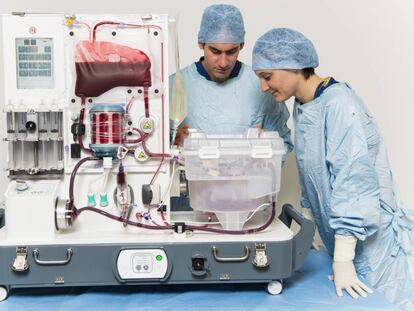 Dos personas observan un hígado en la máquina de perfusión 'OrganOx'.