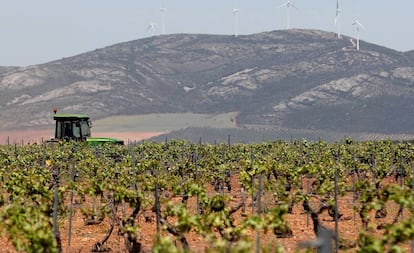 Un tractor recorre un viñedo en Villanueva de los Infantes (Ciudad Real). 