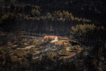 Vista general de la zona calcinada por el incendio forestal de Bejís (Castellón). 