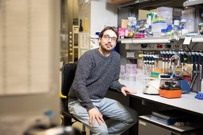 El biólogo Arnau Sebé Pedrós, en su laboratorio del Centro de Regulación Genómica, en Barcelona.