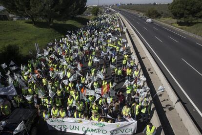 Cientos de agricultores y ganaderos recorren la autovía A-49 a la altura de la localidad sevillana de Benacazón, uno de los cinco accesos por carretera a Sevilla en una jornada de protesta unitaria del sector convocada "en defensa del futuro del campo".
