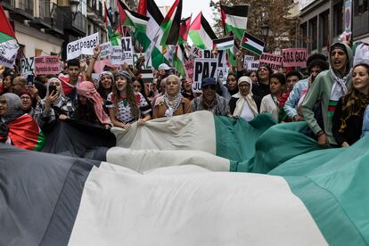 Participantes en la marcha propalestina de este domingo en Madrid.