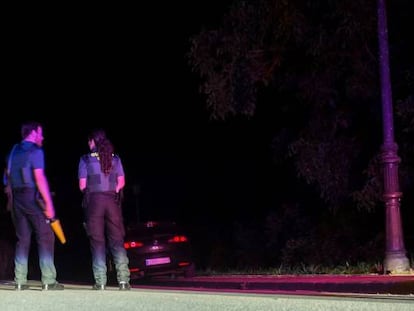 Dos agentes de la Guardia Civil cortan anoche la carretera que lleva a la casa del atrincherado en Turieno.