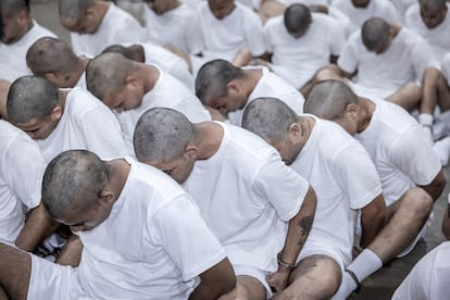 Los presuntos miembros de la banda Tren de Aragua, este domingo en una cárcel de El Salvador.