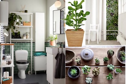 <p>La fiebre 'indoor' por las plantas no es una novedad, pero sí su ubicación: el baño. Cubrir nuestro espacio más intimo de un manto verde es la última tendencia visible en Pinterest. Hiedra en cascada sobre espejos, colgantes en maceteros de rafia, palmeras para alegrar esa bañera en desuso… Todo vale para diseñar tu particular jardín del Edén. En la imagen, planta con maceta <a href="https://www.ikea.com/es/es/productos/decoracion/plantas-jardineria/succulent-planta-con-maceta-gris-art-00343277/" target="_blank">SUCCULENT</a> (3 € cada unidad) y planta de <strong>IKEA</strong>.