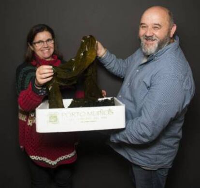 Rosa Mirás y su marido, Antonio Muiños, sostienen la variedad de alga 'kombu'.