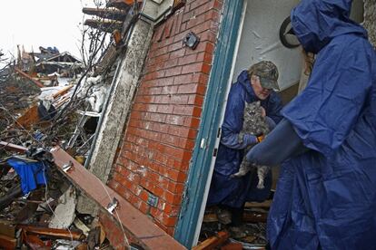 Unos vecinos de Delta Drive rescatan a su gato, que ha sobrevivido al tornado en el que ha quedado destrozada su casa en Rowlett, Texas.