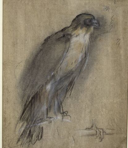 'Boceto para un halcón'. Museo Staatliche de Berlín.