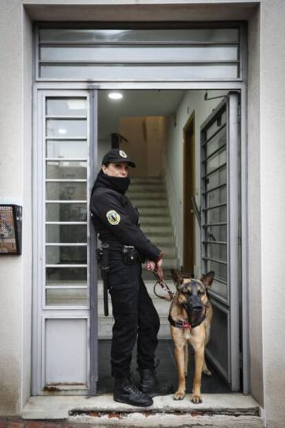 La empresa Desokupación Legal usa perros adiestrados en sus operativos de desalojo.