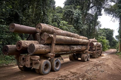 Um caminhão de grande tonelagem transporta madeira por uma trilha na fronteira com a Terra Indígena Maró.