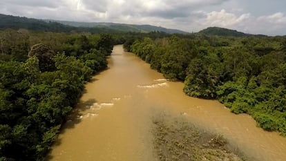 Serie documental Secretos de la jungla, emitida en DMAX