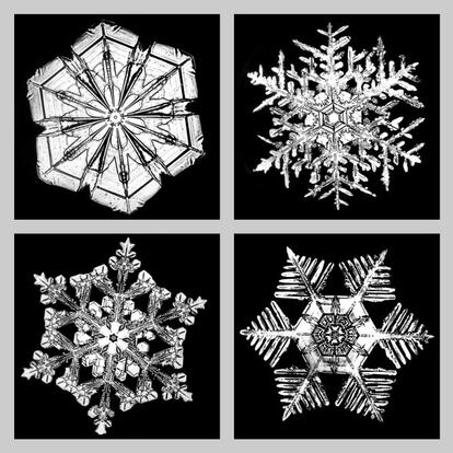 Wilson A. Bentley  (1865-1931). Snow crystal photographs, c. 1885 - 1931.