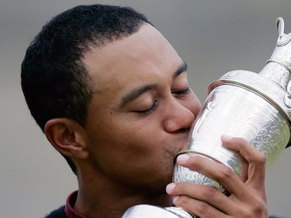 La imagen de Tiger Woods se convirtió en una de las marcas más importantes del mundo y su influencia llegó hasta el punto de provocar que los premios de los torneos crecieran. En el año 2005, gracias a sus elevados contratos, se convirtió, según la revista Forbes, en el deportista mejor pagado del mundo con unas ganancias totales de 87 millones de dólares.