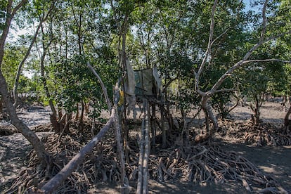 Bengal Occidental. Situados a pocos metros del suelo, estos aseos improvisados de Netaji Pally cuelgan precariamente de pilotes de madera destinados a mantener a los usuarios secos durante la marea alta y alejados del barro durante la marea baja. Aún más peligrosos son los estrechos tablones de madera que se utilizan para acceder a estos retretes, como narra Prasanjit, de 11 años: "Una noche iba al baño y tenía una pequeña linterna para iluminar el camino. La marea ya estaba alta y mientras caminaba hacia el retrete el tablón se rompió y me caí de cabeza al agua".