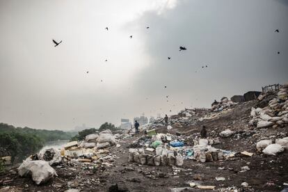 Vista general del vertedero a orillas del rio Mithi en la ciudad de Bombay. Los cuervos sobrevuelan el lugar atestado de bolsas con desechos y cenizas.
