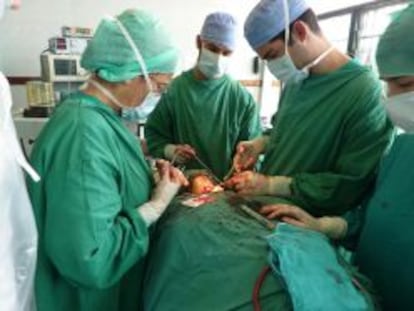 El equipo de la cirujana Mar&iacute;a Victoria Collado, en una operaci&oacute;n de bocio en Bamenda (Camer&uacute;n).