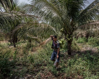 Paulo Coejho Cardoso na fazenda que herdou de seu pai