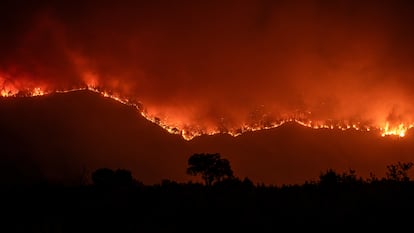 Los incendios en España que están activos: las impresionantes imágenes en plena ola de calor