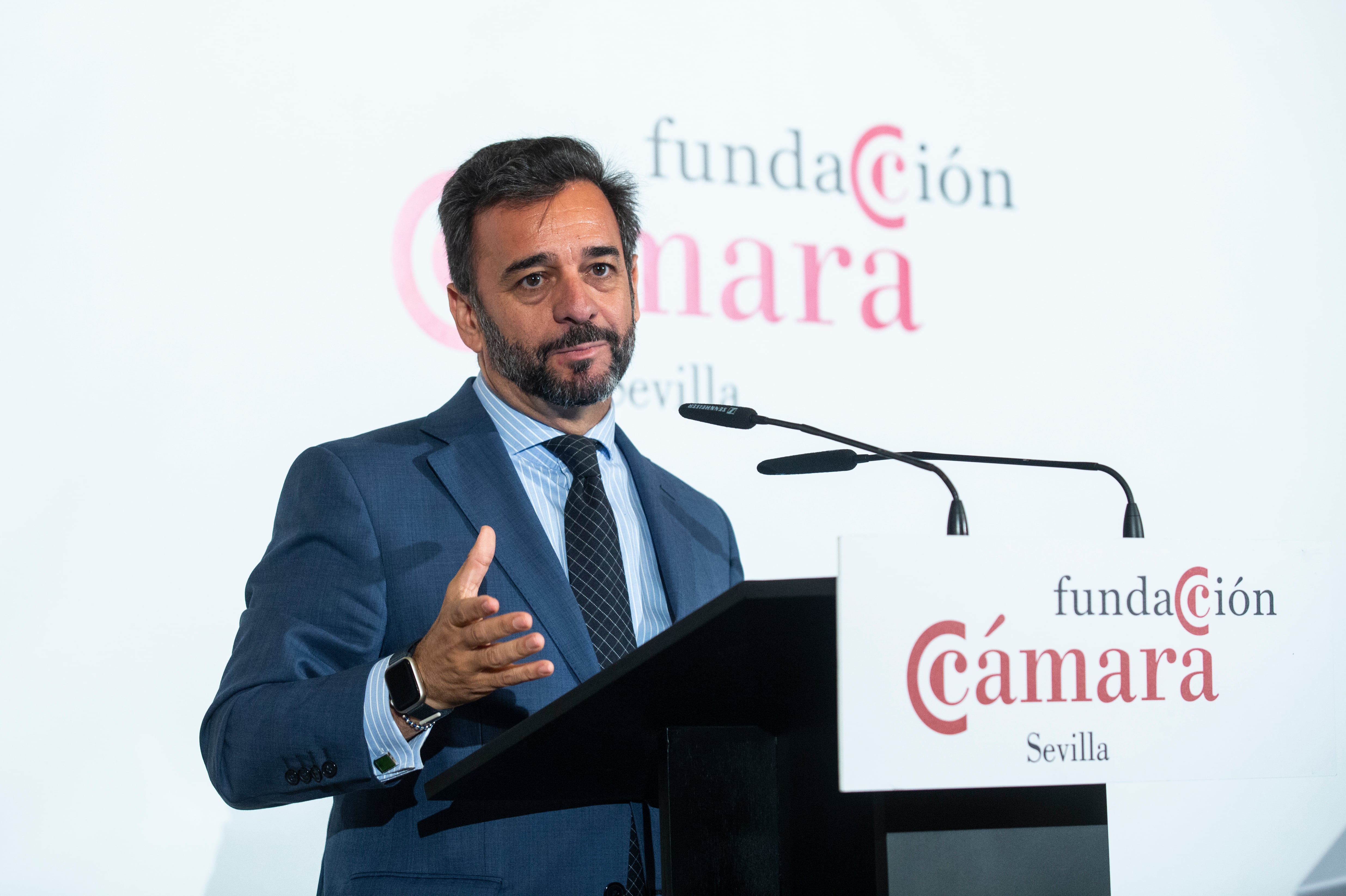 The PSOE-A asks for the reprobation of the president of the Chamber of Accounts for « obstructing democratic control » | Andalusia news