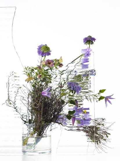 <p>En la imagen, clematis, flores de acerico (Scabiosa japonica), Euphorbia spinosa, borraja (Borago officinalis), campanillas (Calibrachoa hybrida), col de invierno (Brassica napus) y guisantes de olor (Lathyrus odoratus).</p>